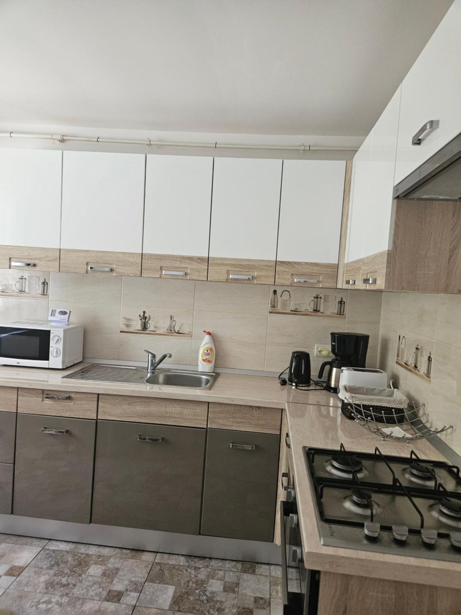 ブラショフ Casa Gabrielaヴィラ エクステリア 写真