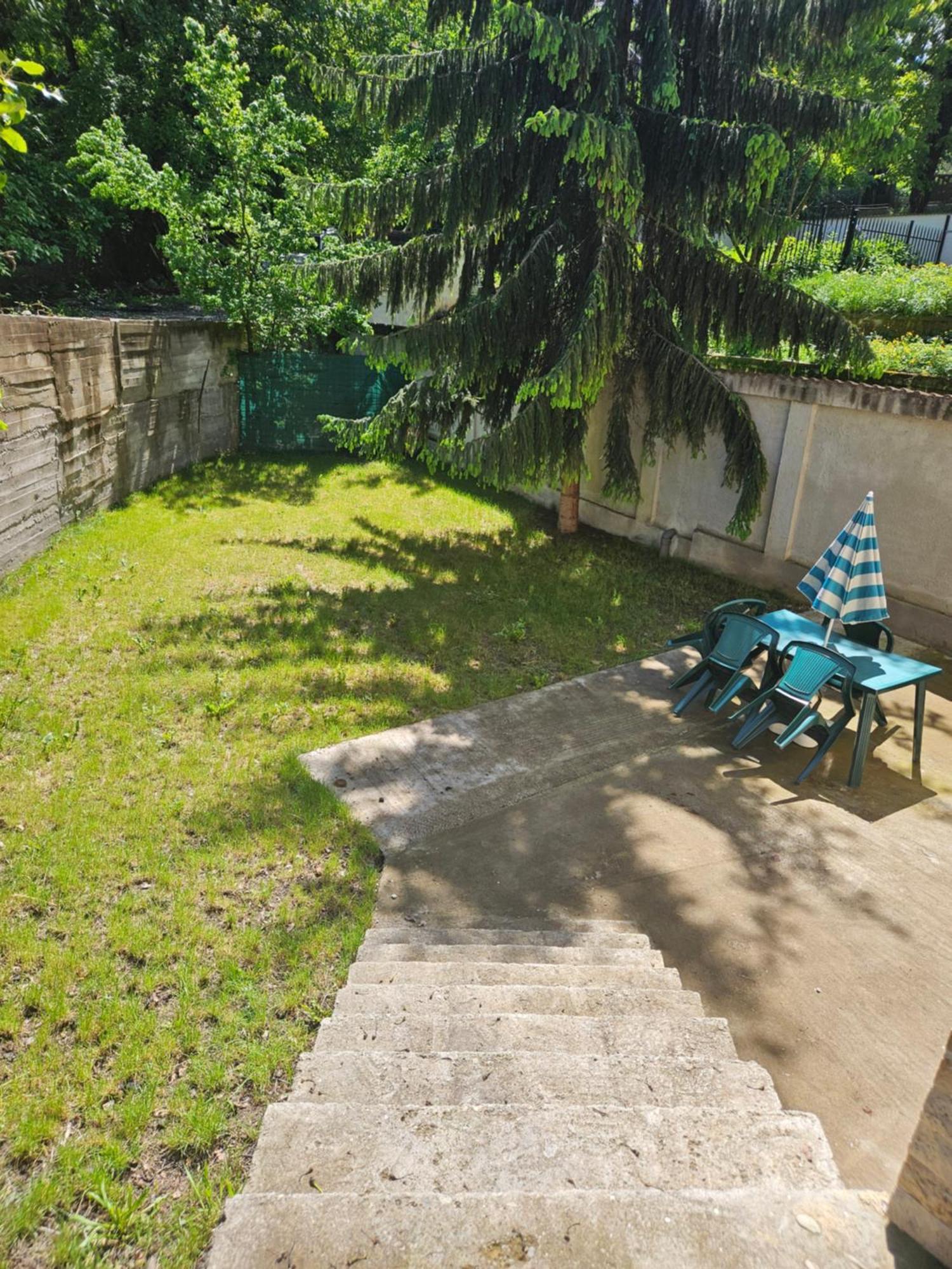 ブラショフ Casa Gabrielaヴィラ エクステリア 写真